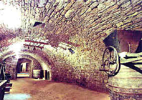 sklepy - historie vina�stv�